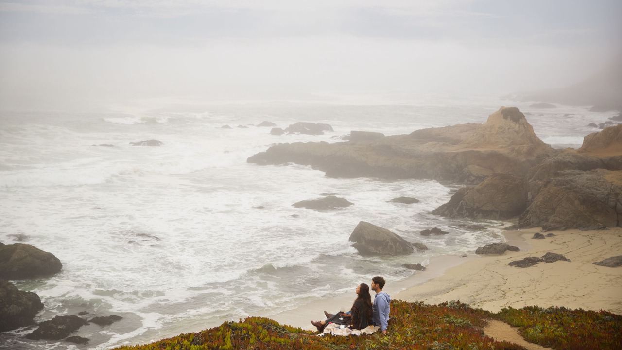 Photo of Others in Bodega Bay