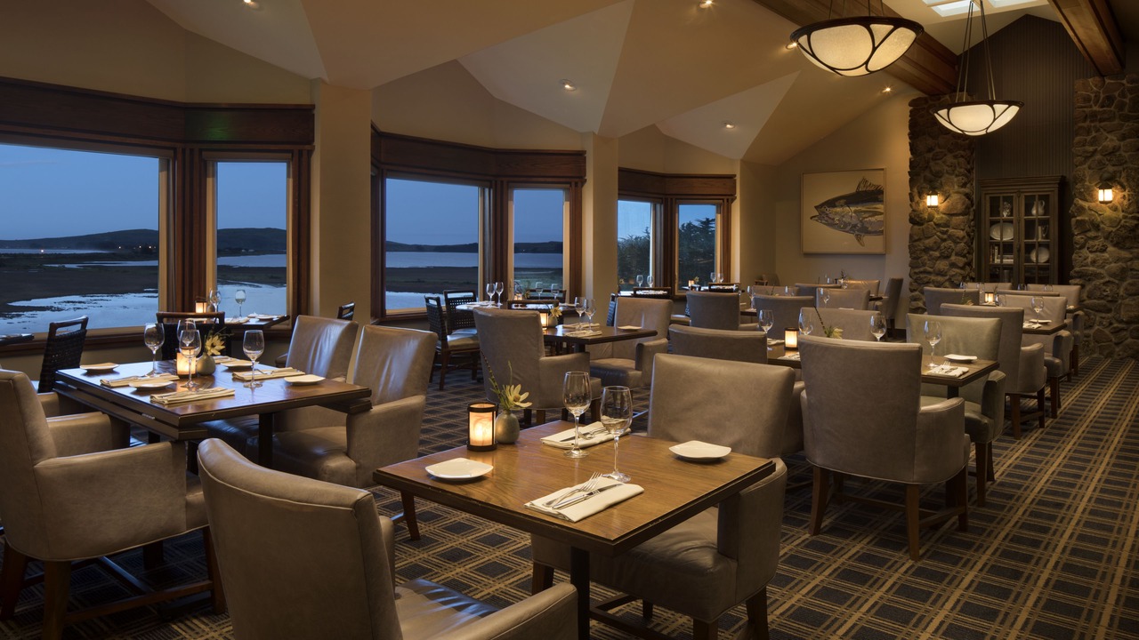 Photo of Others in Bodega Bay