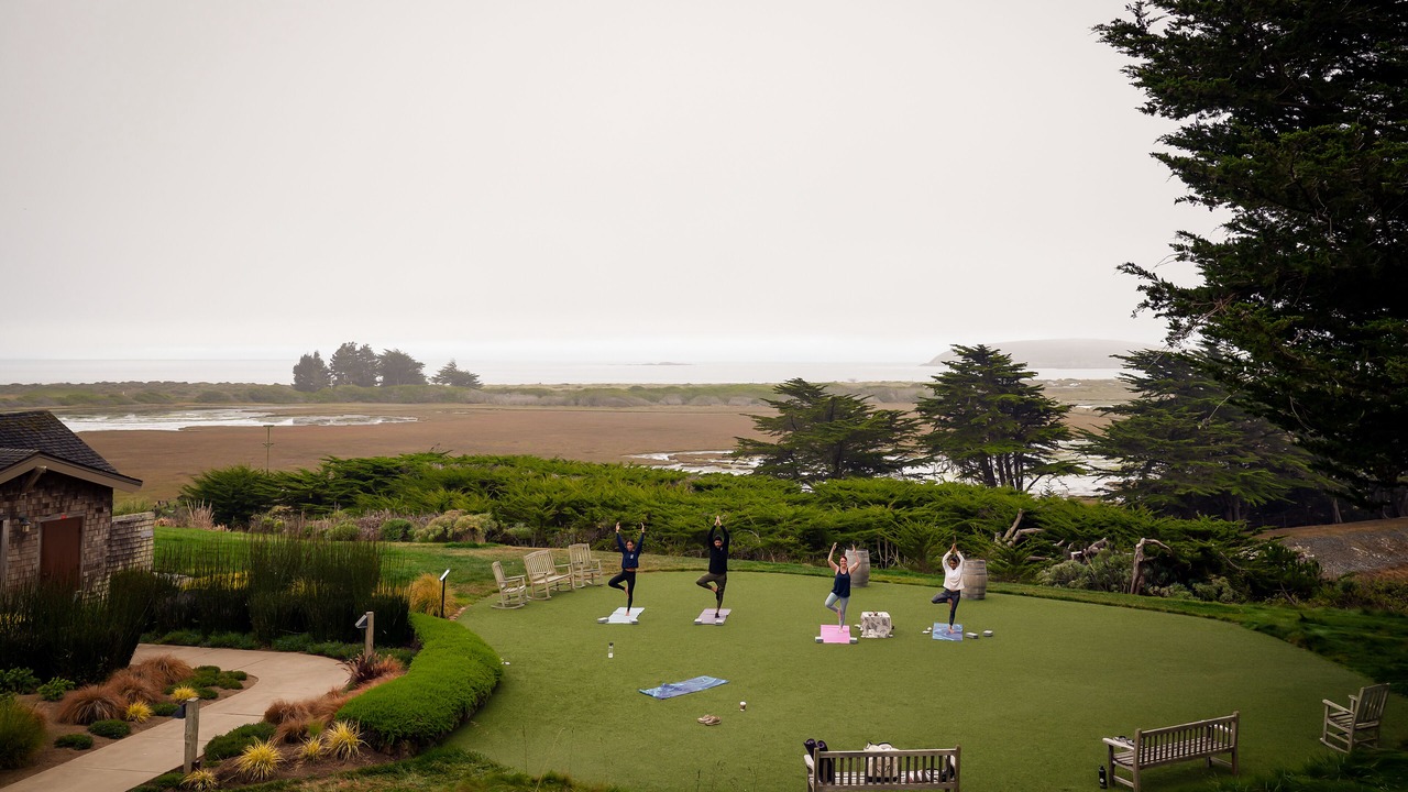 Photo of Others in Bodega Bay