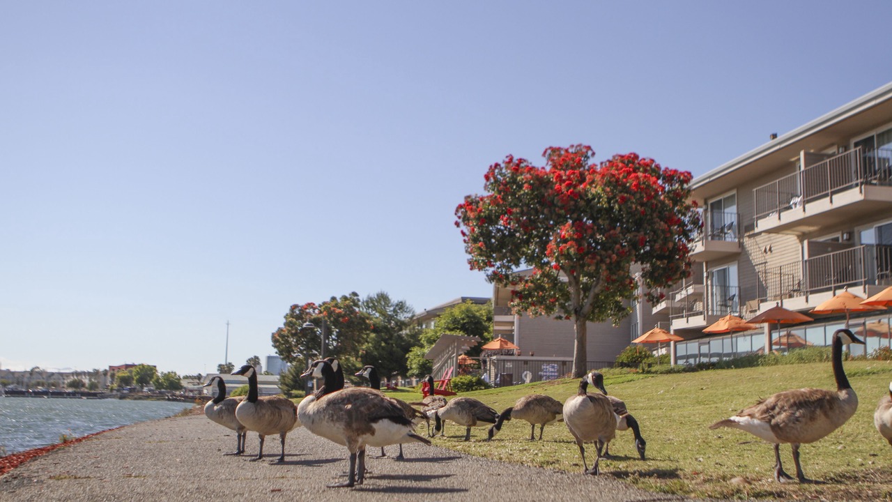 Photo of Outdoor in East Peralta