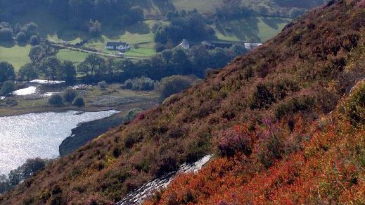 Photo of Outdoor in Llandrindod Wells