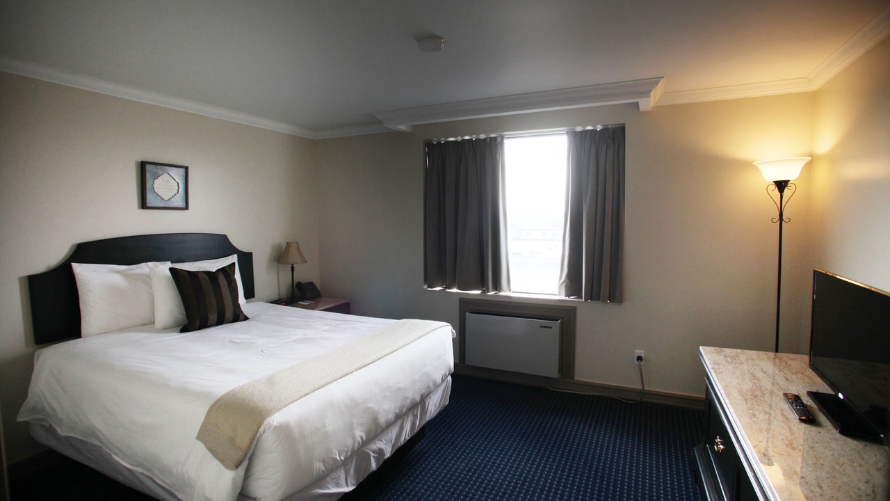 Photo of Others in York University Heights