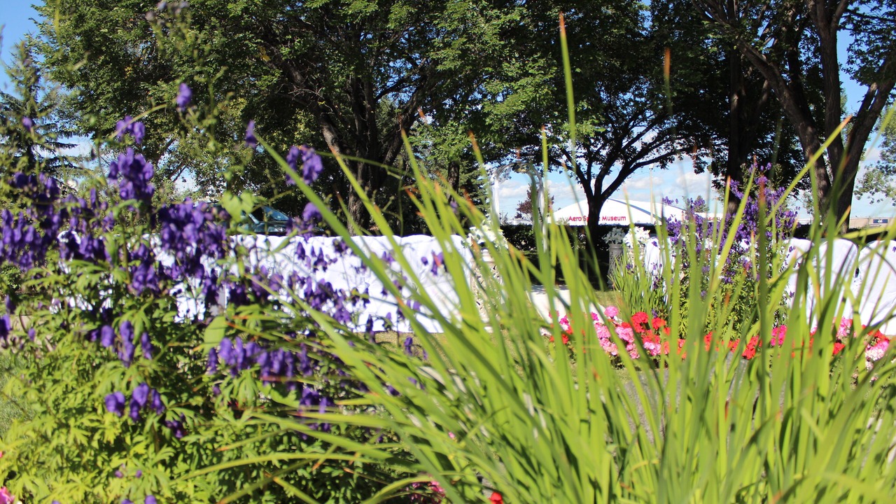 Photo of Outdoor in Calgary