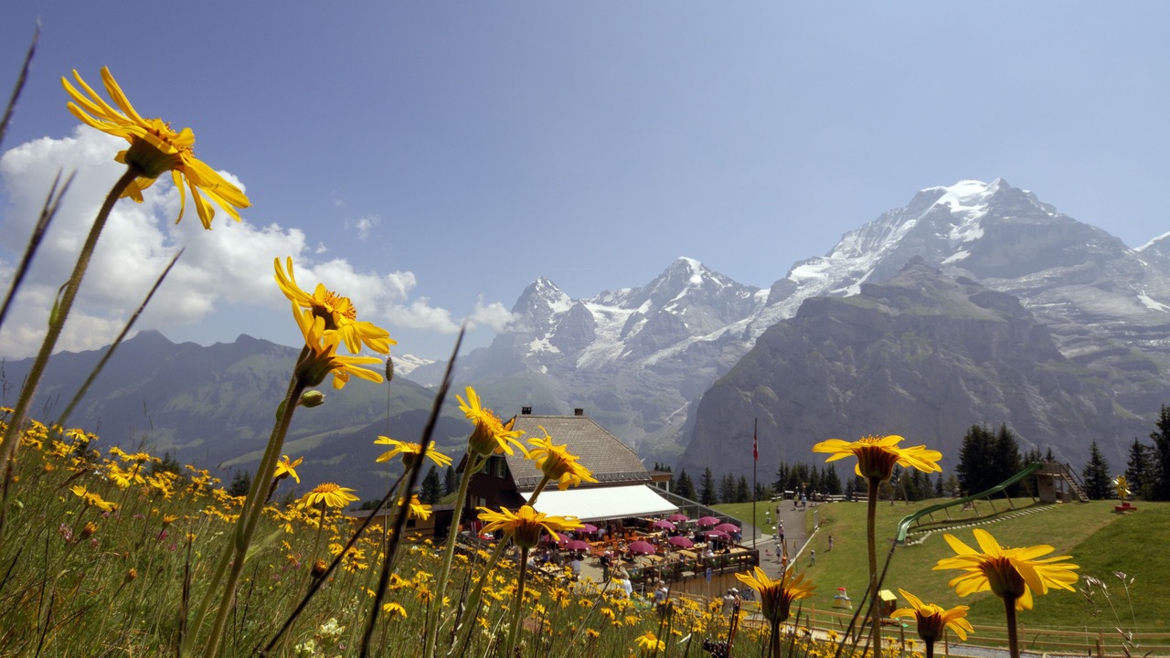 Photo of Others in Murren