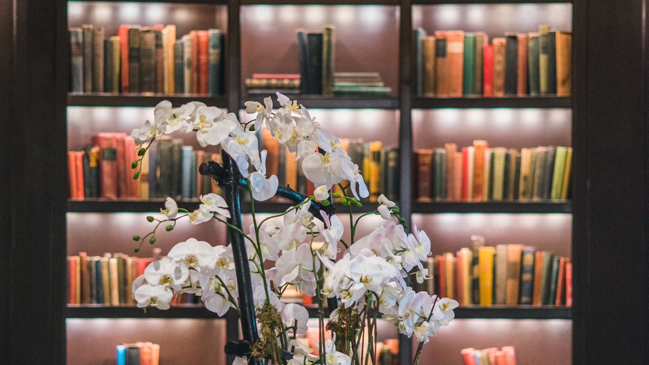 Photo of Others in Downtown Hartford