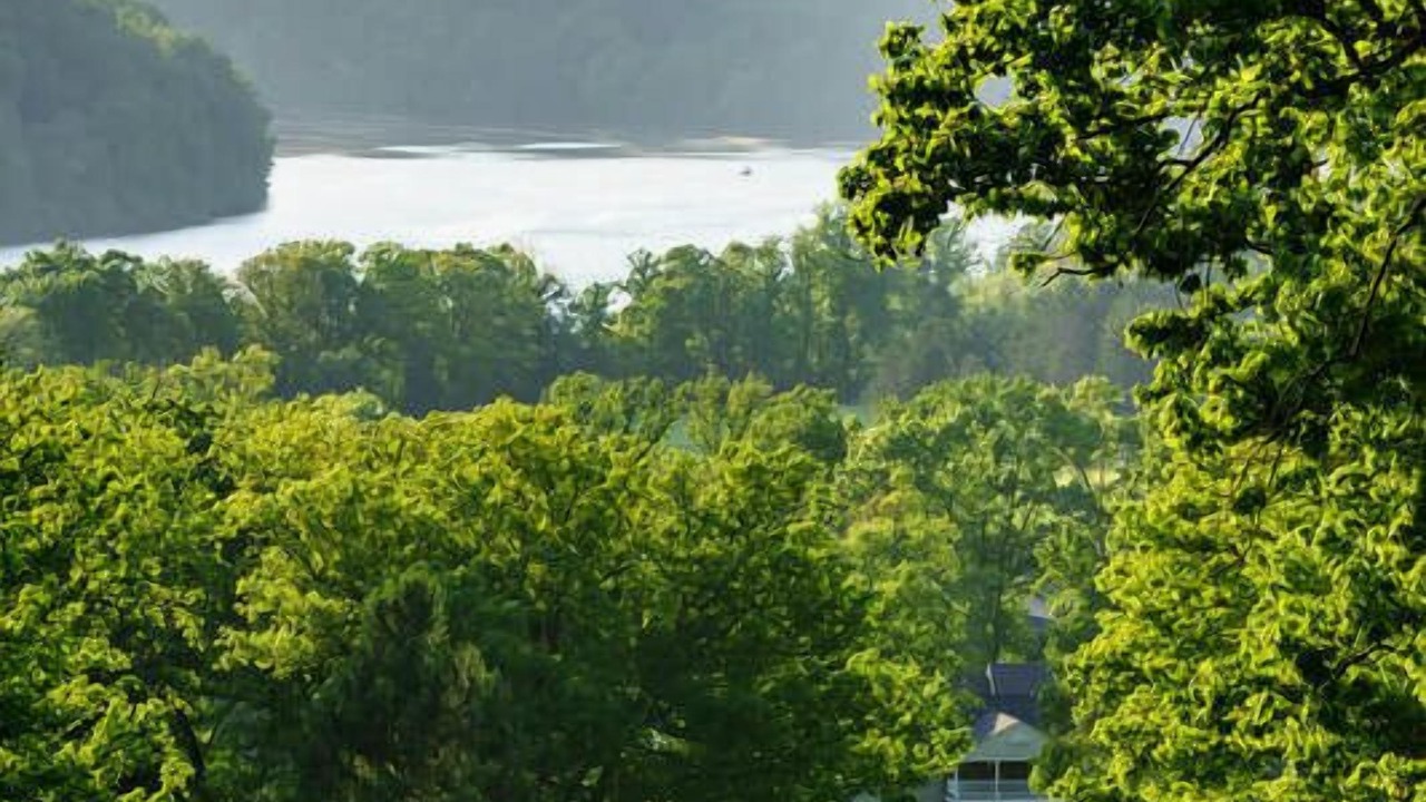 Photo of Others in Cheat Lake