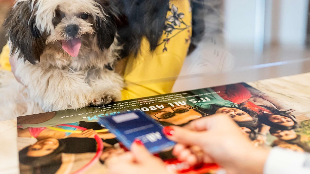 Photo of Others in Quartier du Lac