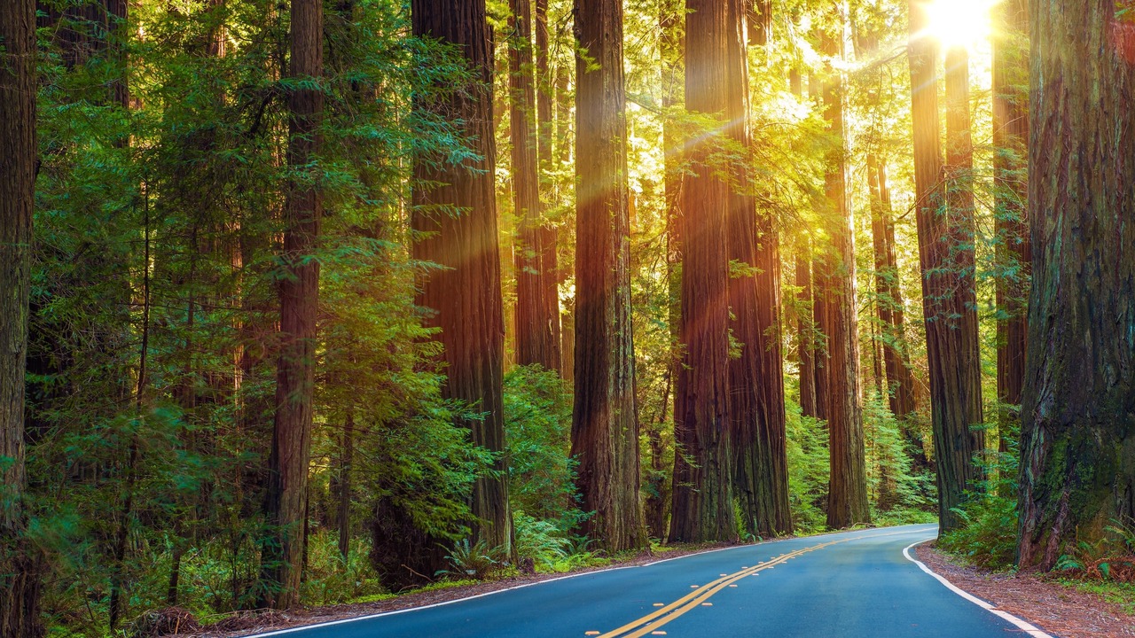 Photo of Others in Grants Pass