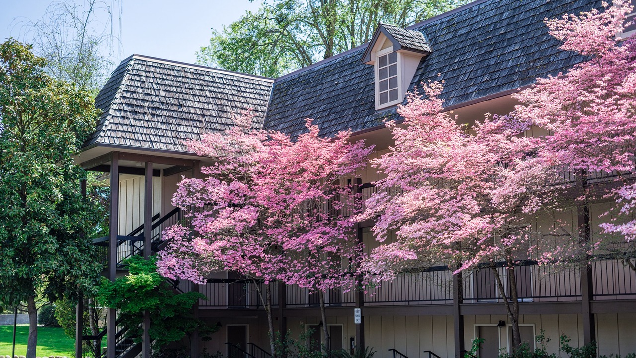 Photo of Outdoor in Grants Pass