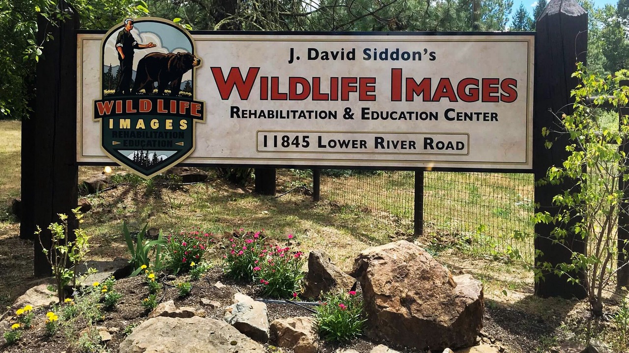 Photo of Others in Grants Pass