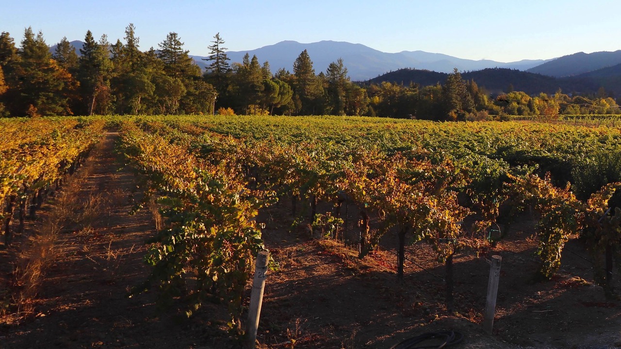 Photo of Others in Grants Pass