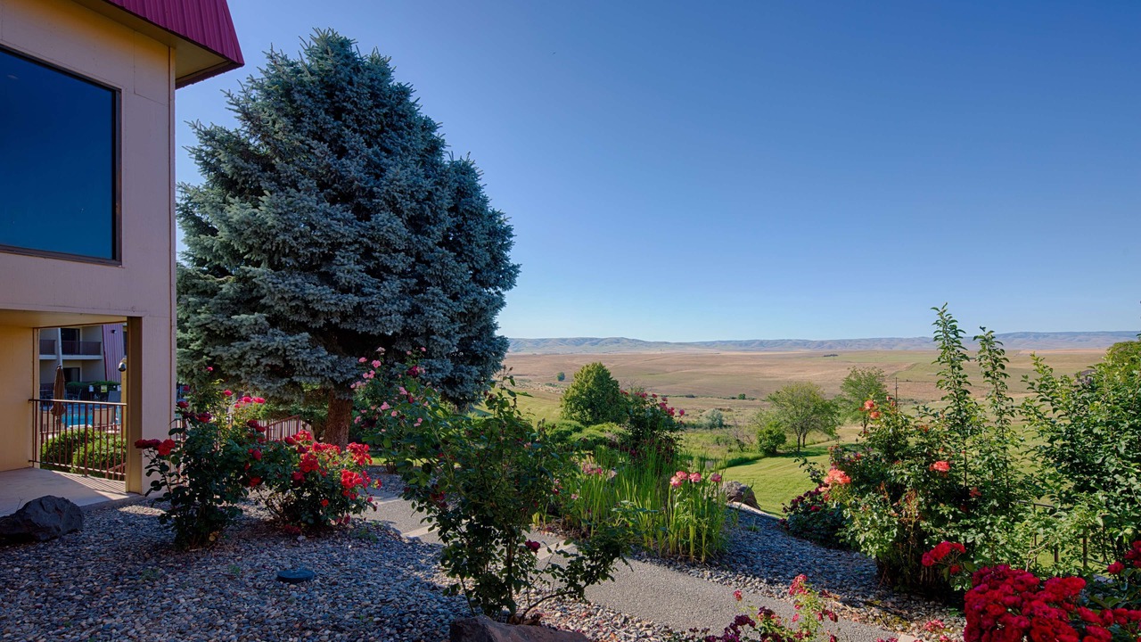 Photo of Others in Pendleton