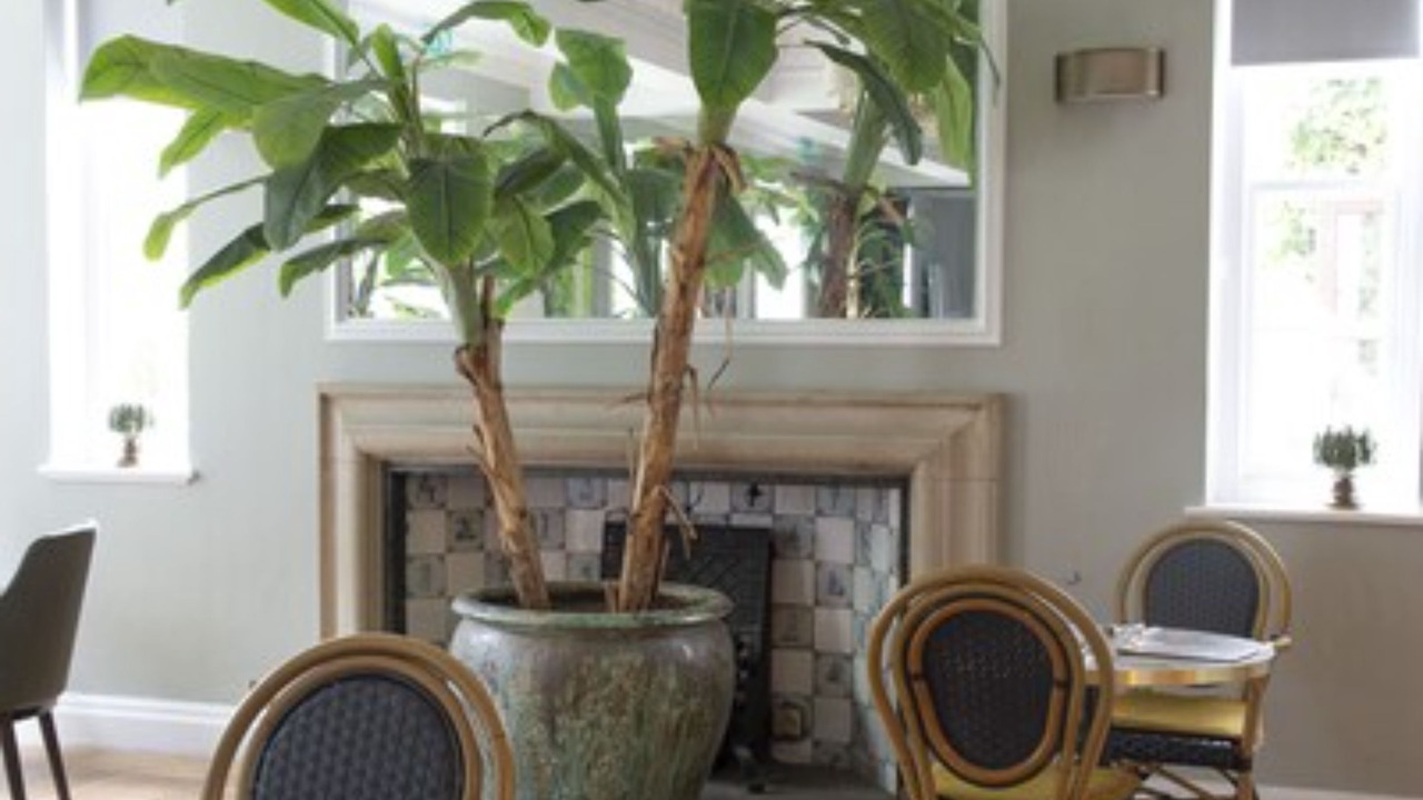 Photo of Others in Farnham