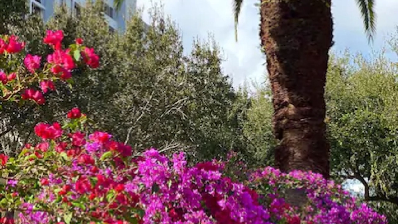Photo of Outdoor in Palm Beach Gardens