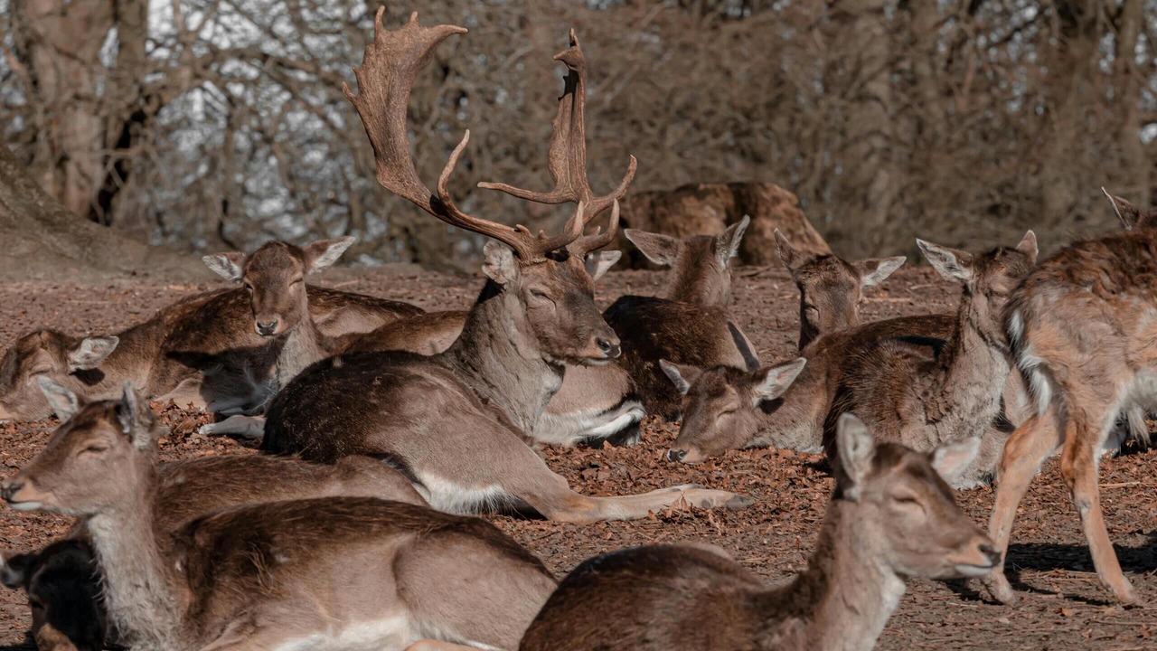 Photo of Others in Aarhus C