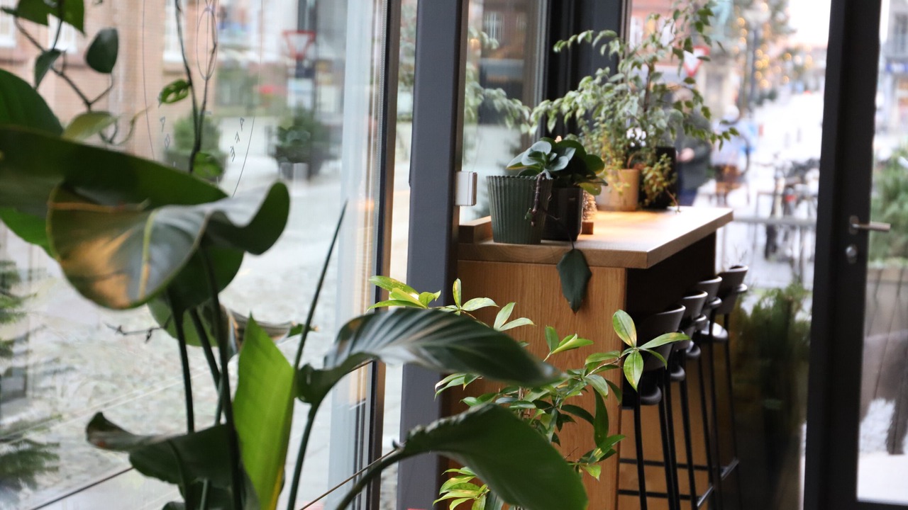 Photo of Others in Esbjerg