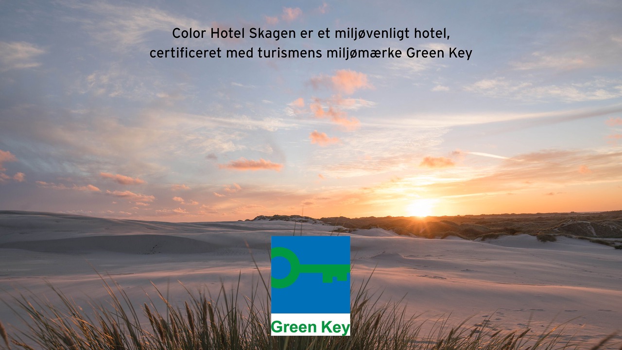 Photo of Others in Skagen