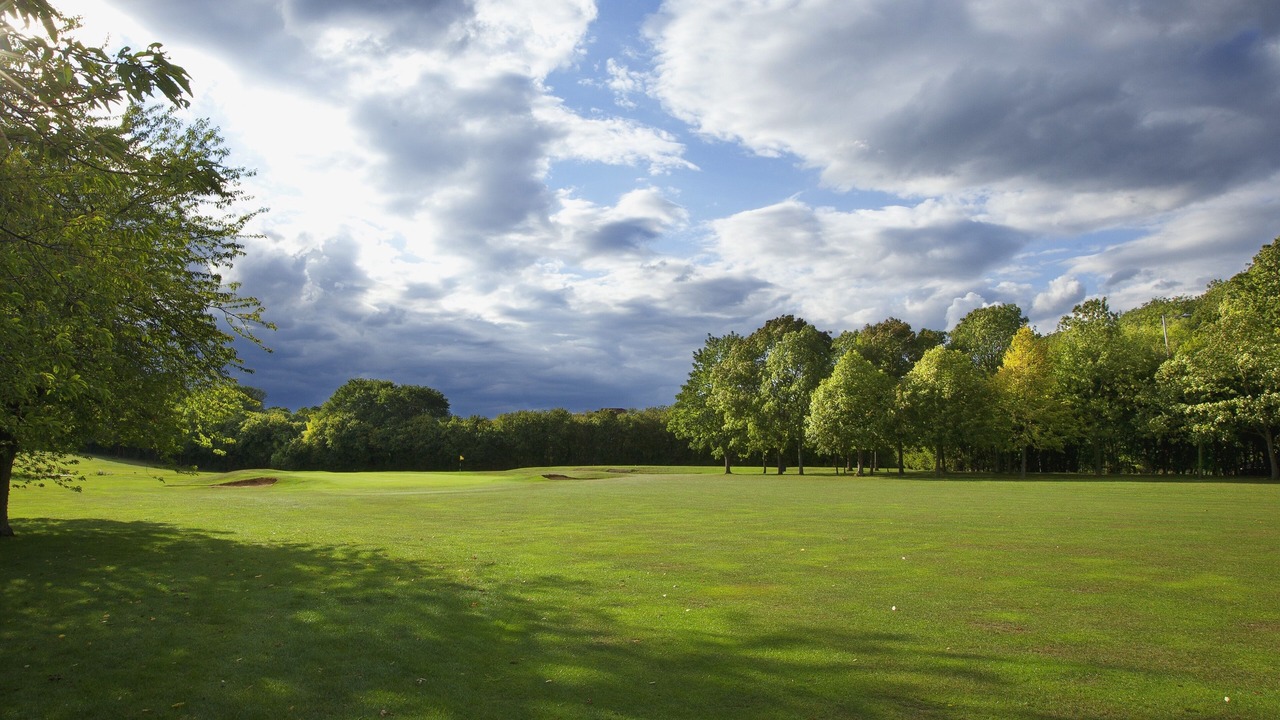 Photo of Others in Peterborough