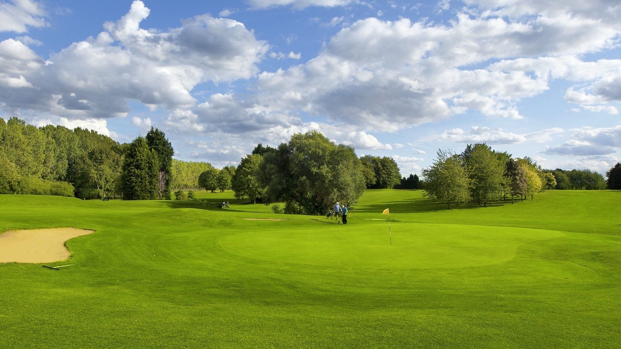 Photo of Others in Peterborough