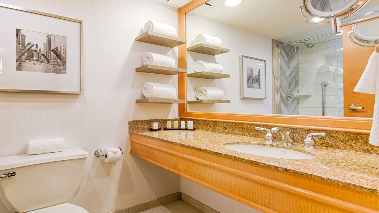 Photo of Bathroom in Rosemont