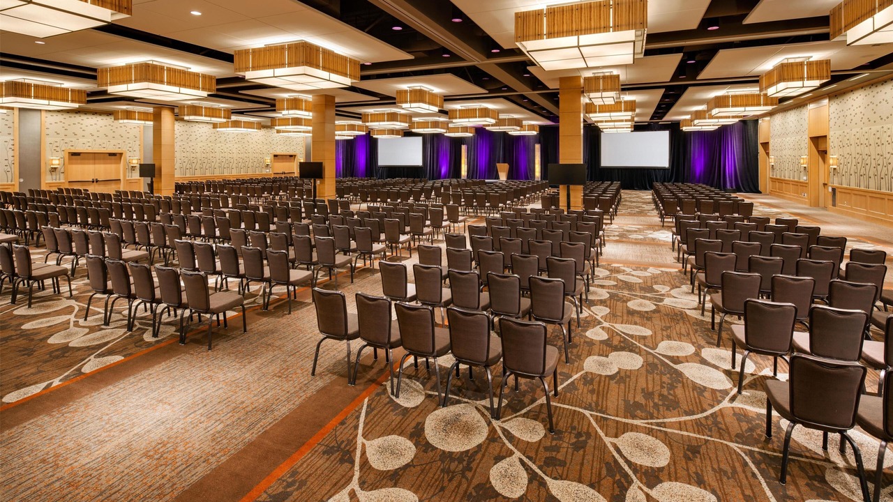 Photo of Others in Northwest Bellevue