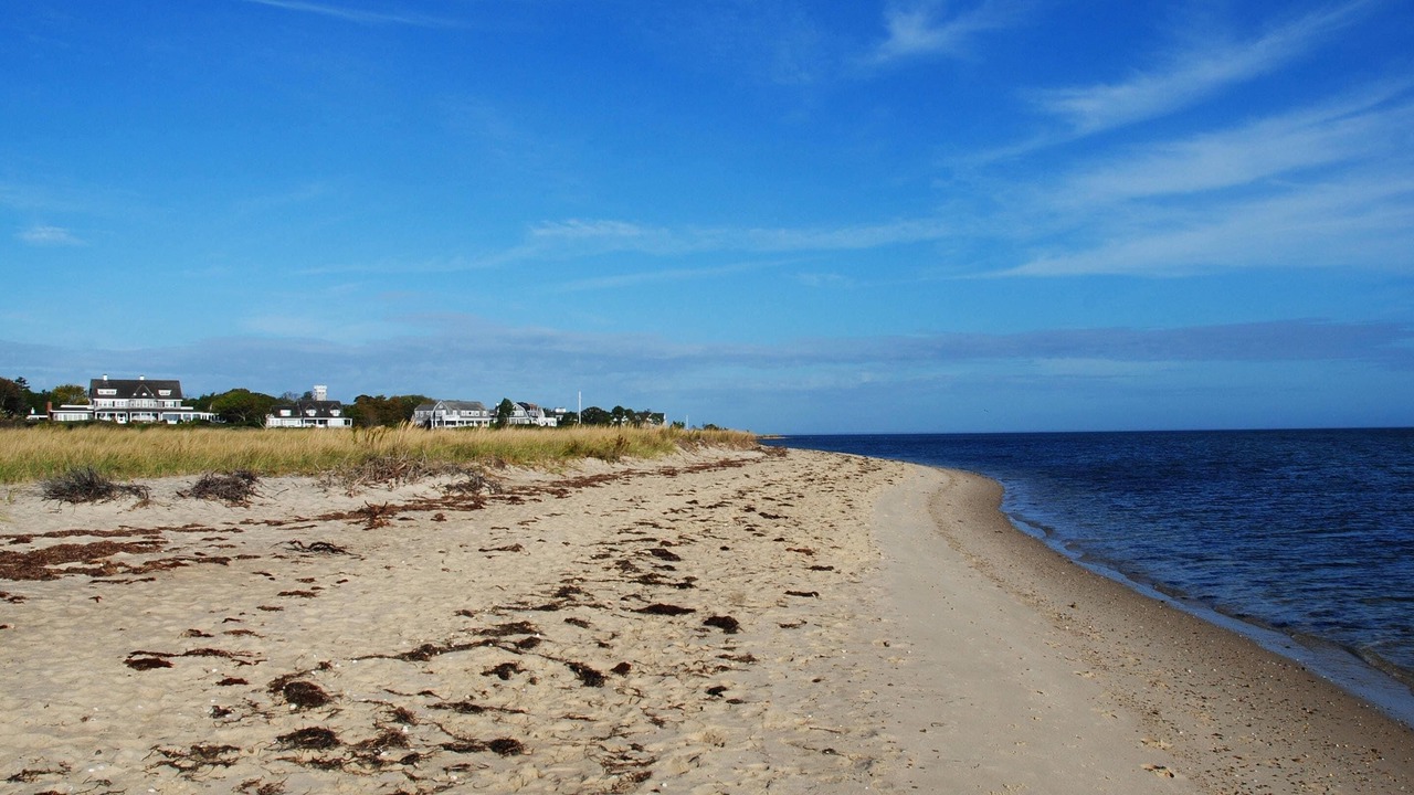 Photo of Others in Edgartown