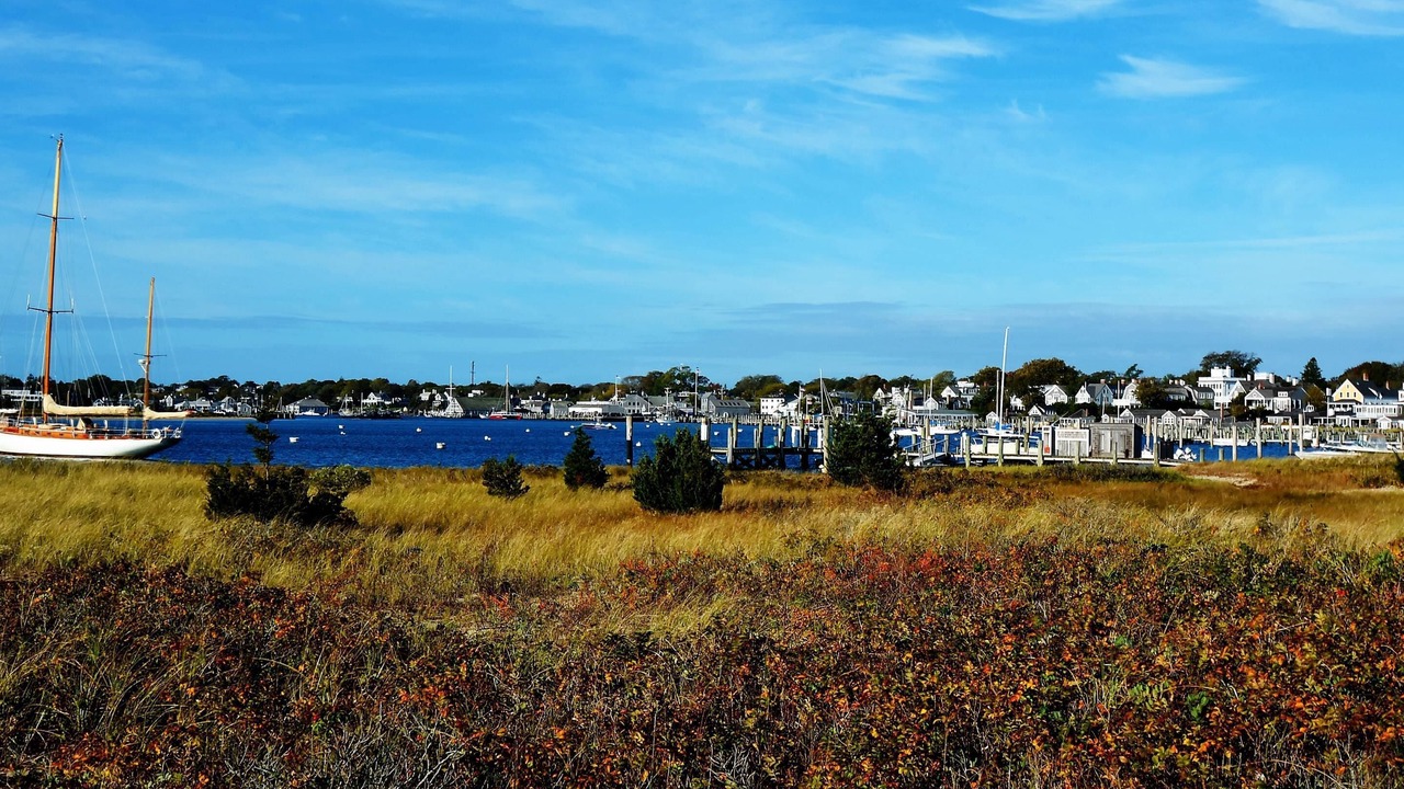Photo of Others in Edgartown