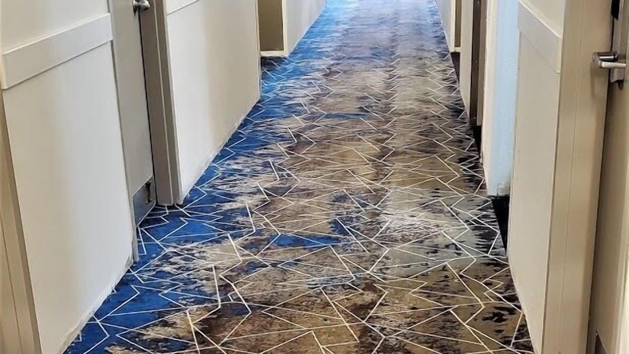 Photo of Others in Milford