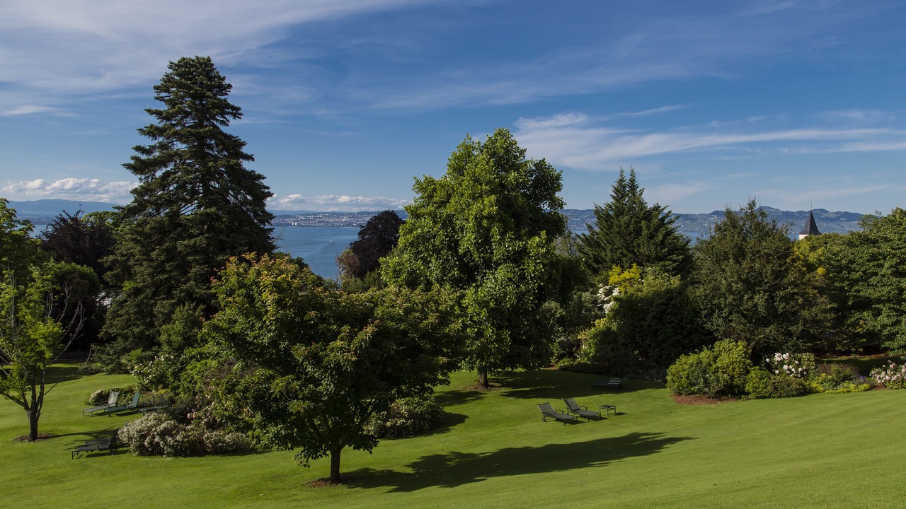 Photo of Outdoor in Neuvecelle