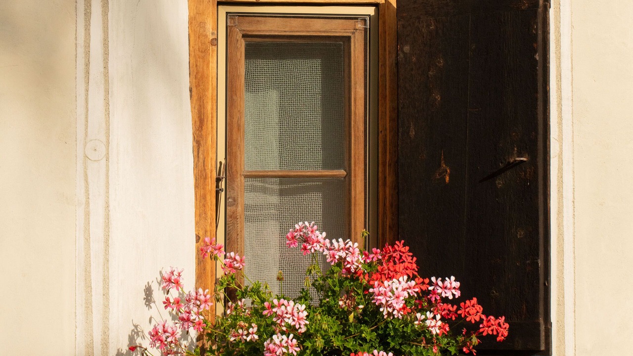 Photo of Outdoor in Celerina-Schlarigna
