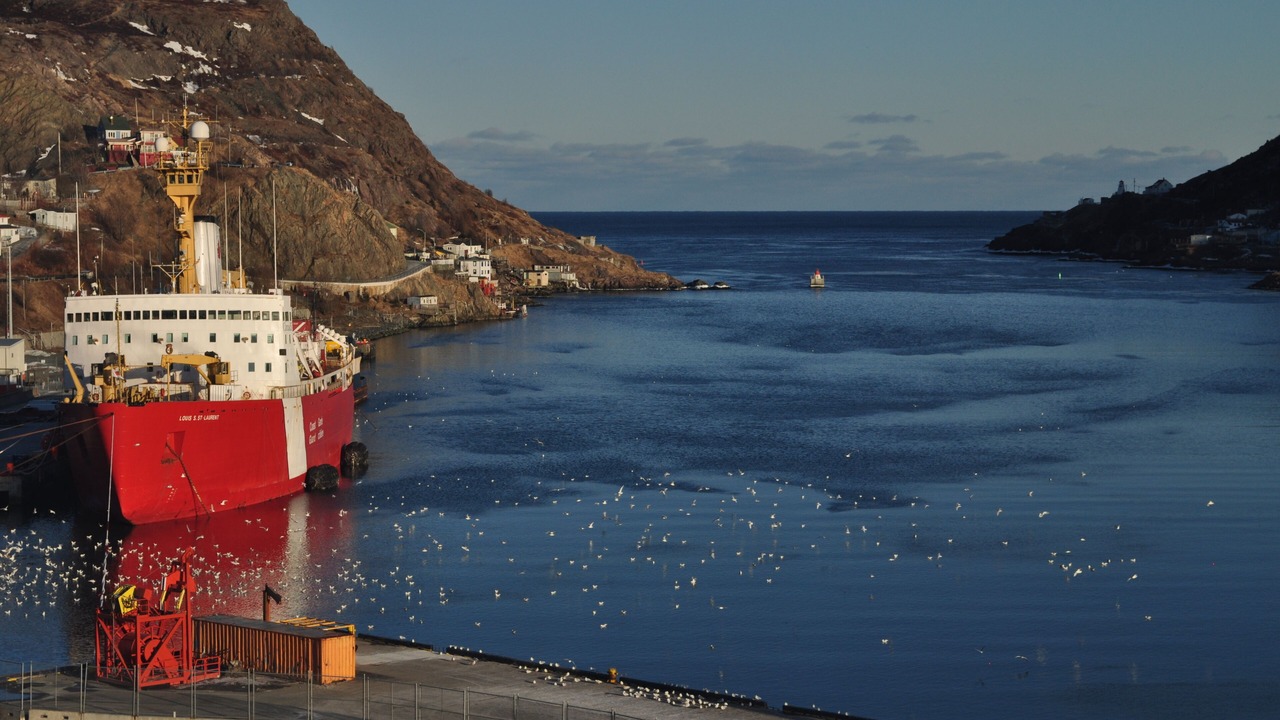 Photo of Others in Downtown St. John's