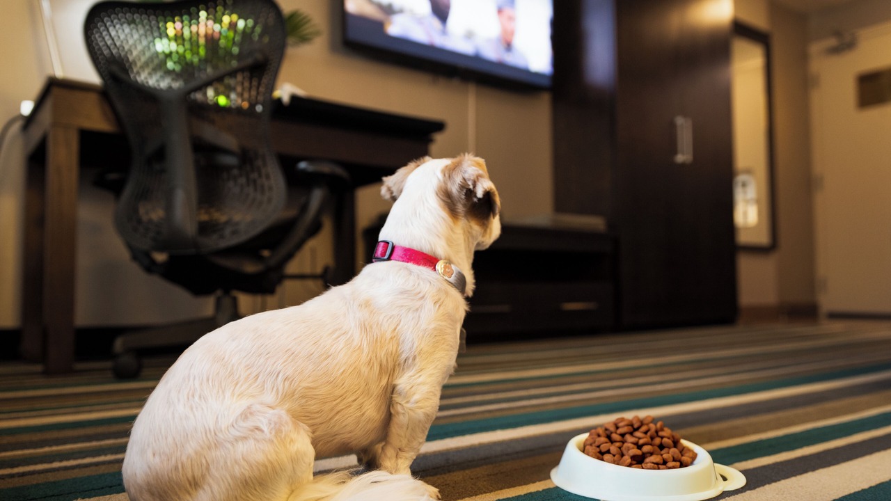 Photo of Others in Southeast Calgary