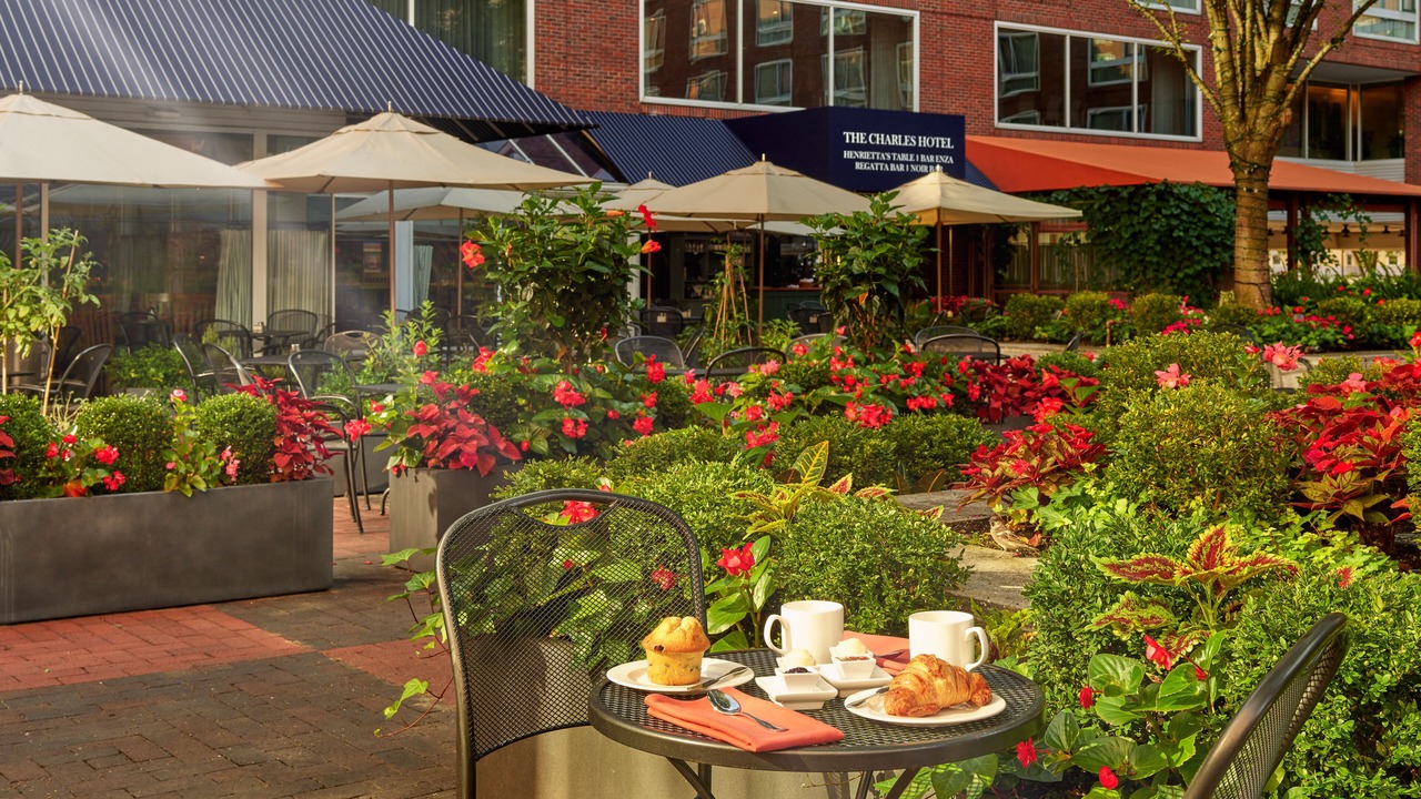 Photo of Outdoor in West Cambridge