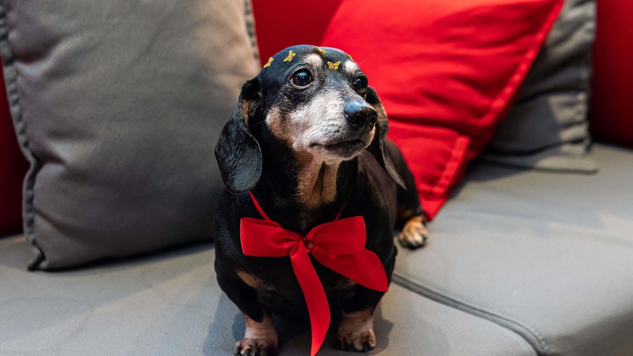 Photo of Others in Greenwich West