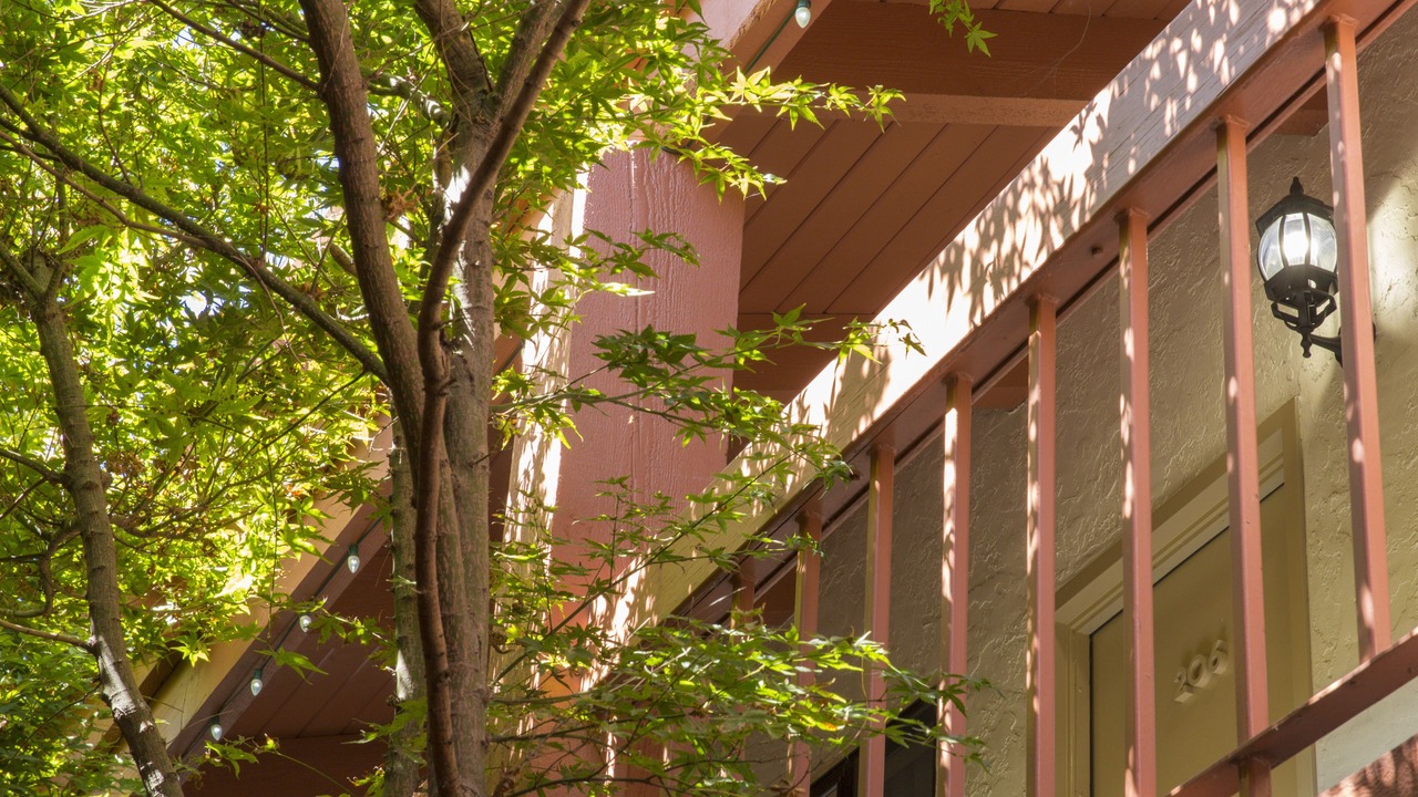 Photo of Outdoor in Campbell