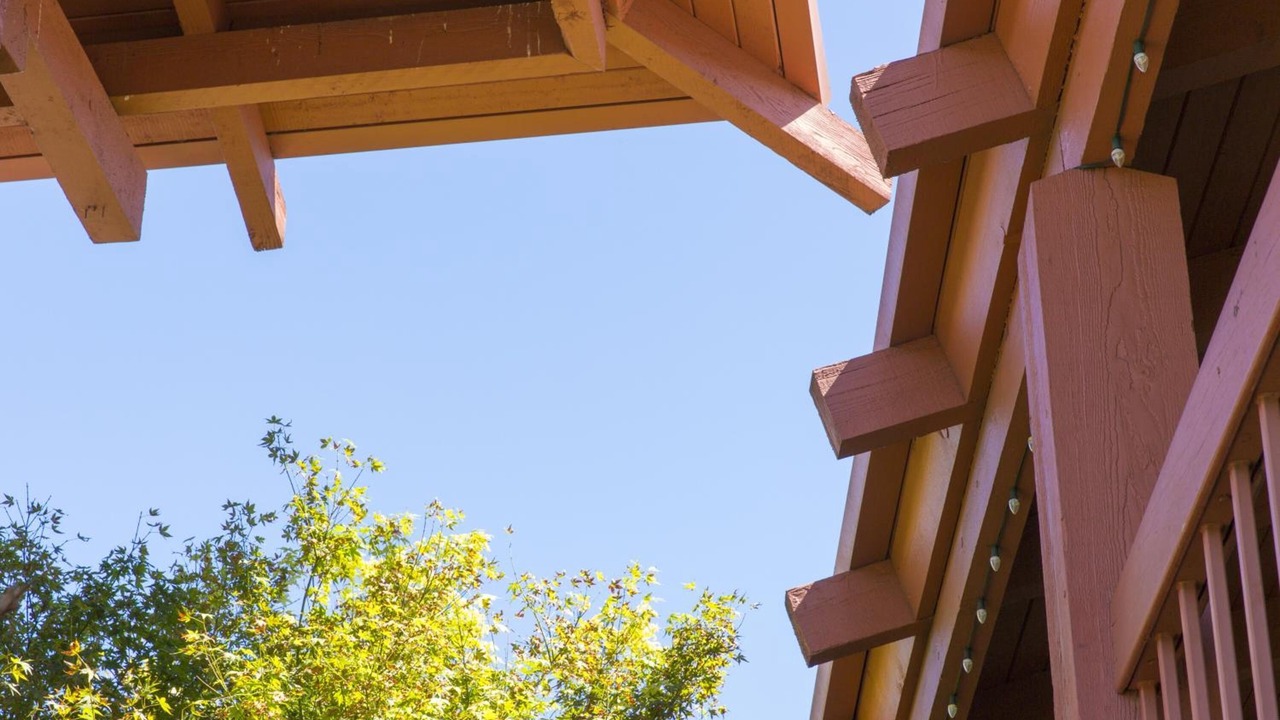 Photo of Outdoor in Campbell