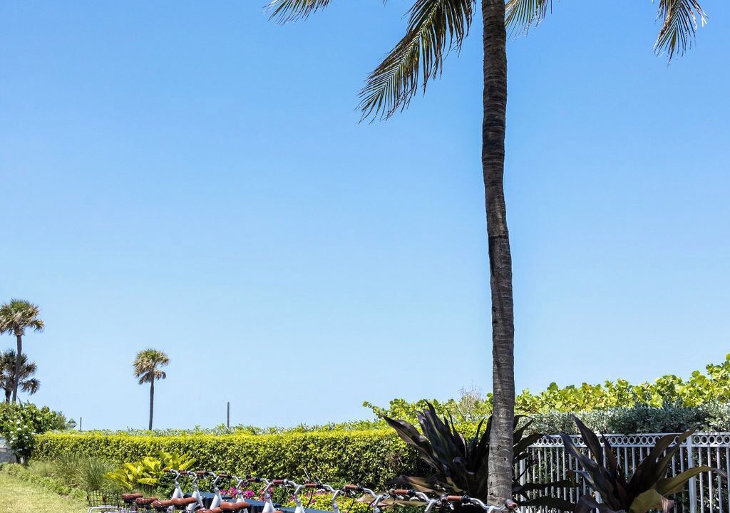 Photo of Outdoor in Mid Beach