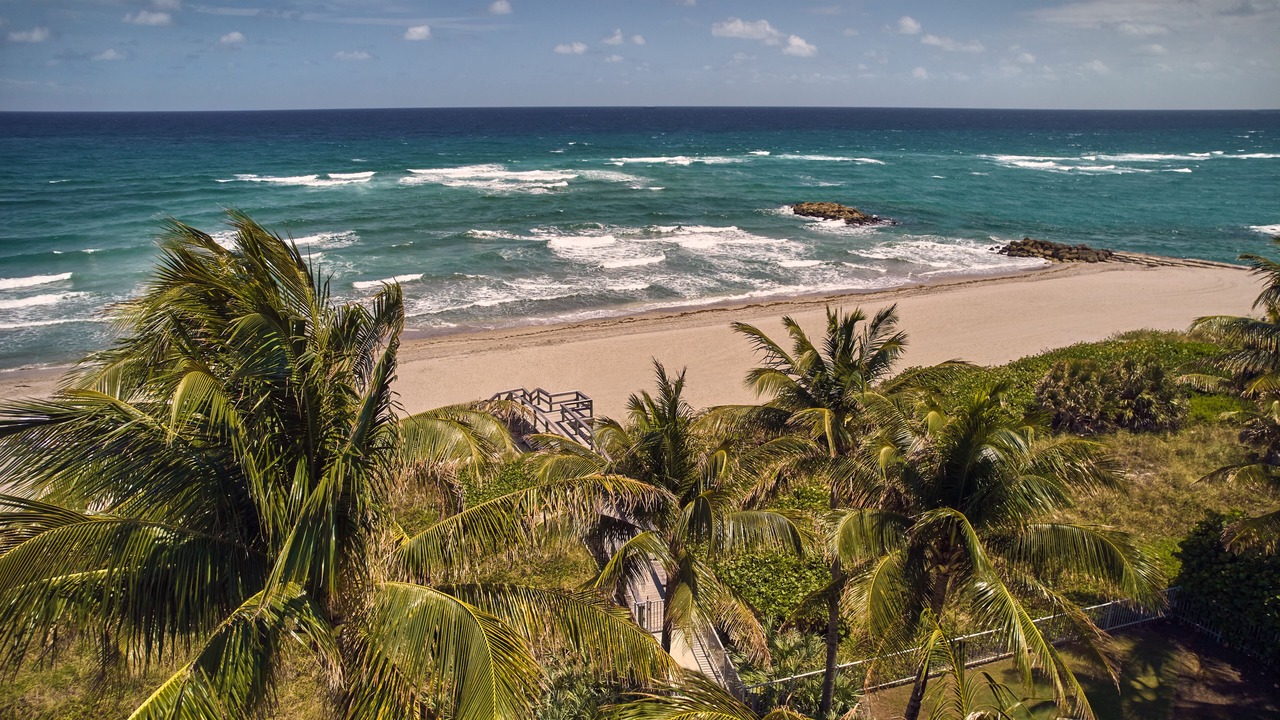 Photo of Others in Boca Raton