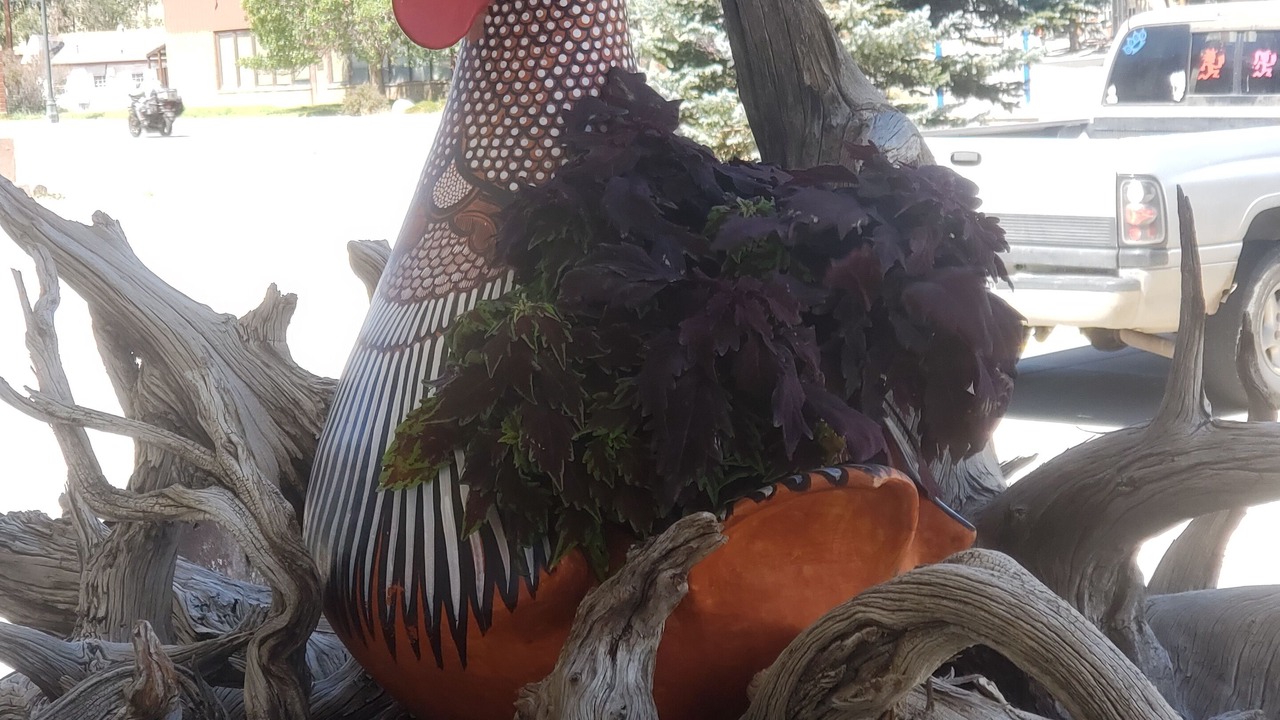 Photo of Outdoor in Salida