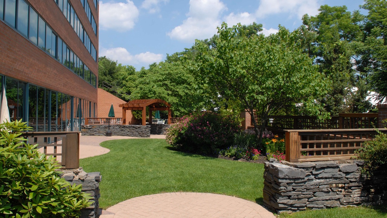 Photo of Outdoor in Melville