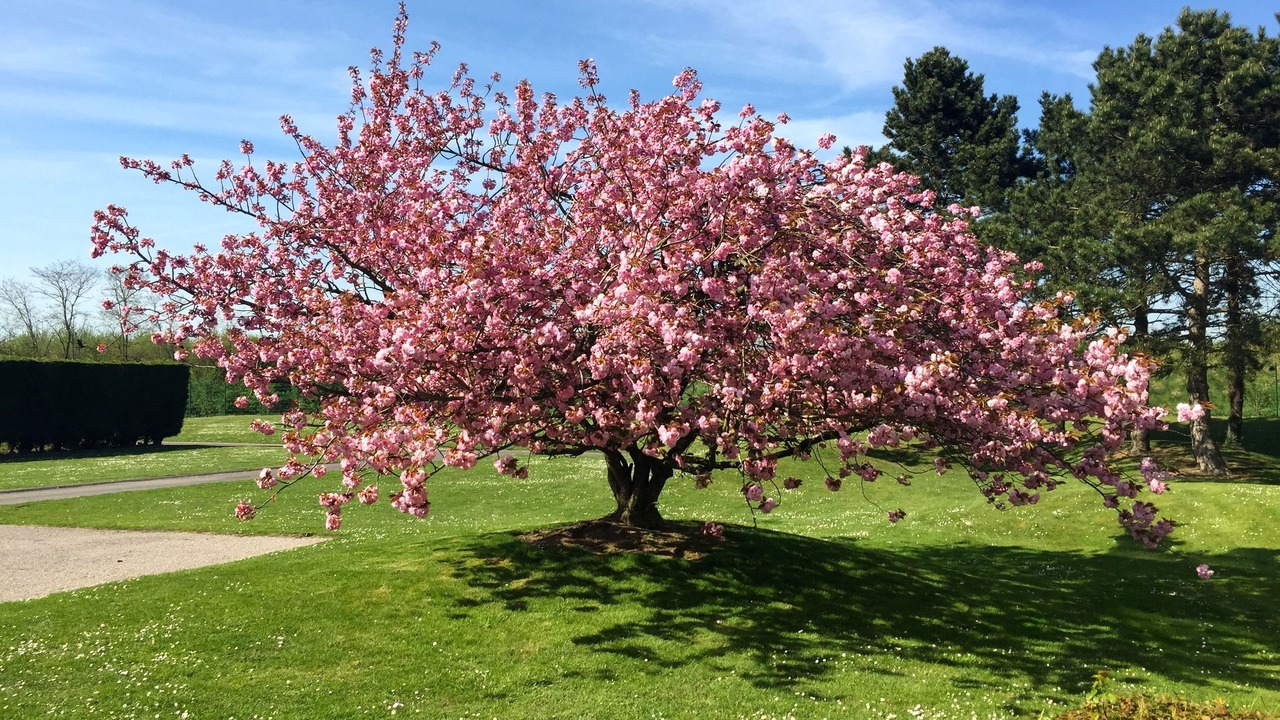 Photo of Outdoor in Lesquin