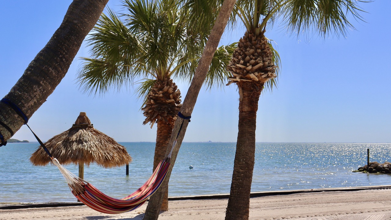 Photo of Others in Pinellas Point