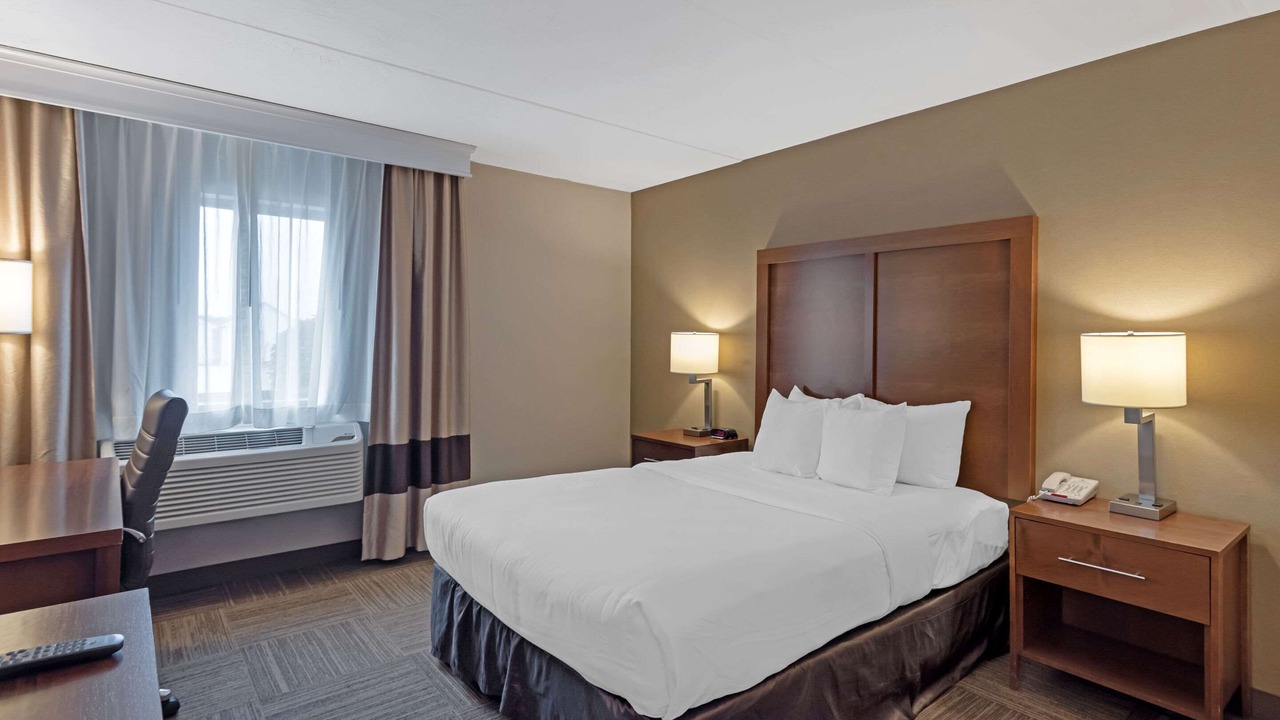 Photo of Others in Bangor