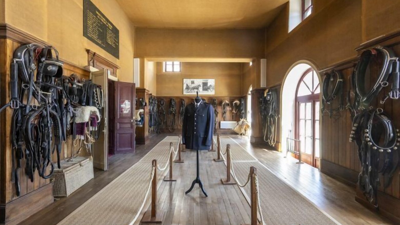 Photo of Others in La Roche-sur-Yon