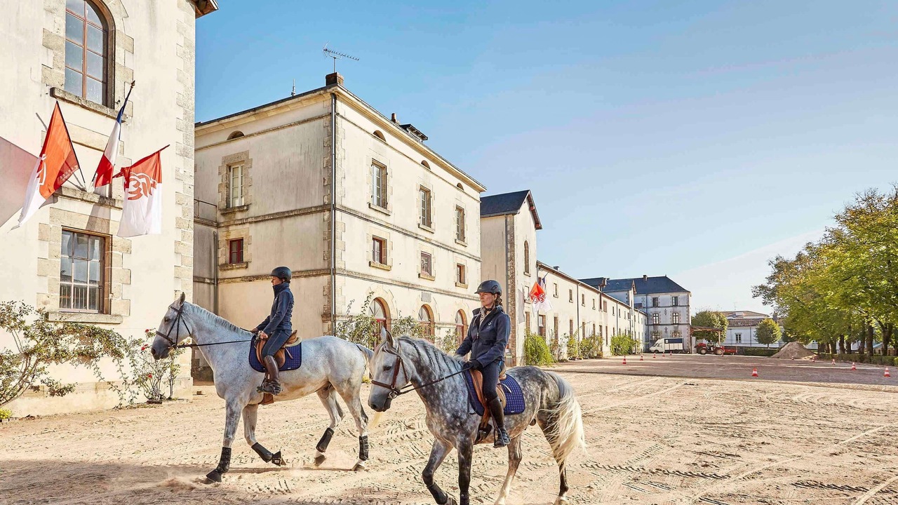Photo of Others in La Roche-sur-Yon