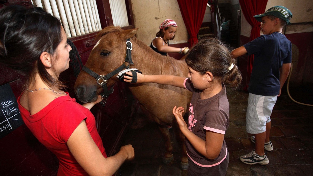 Photo of Others in La Roche-sur-Yon