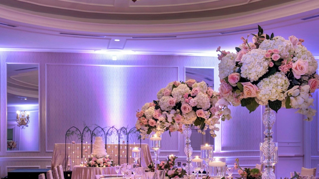 Photo of Others in Downtown