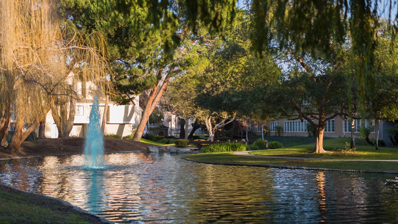 Photo of Outdoor in Sunnyvale