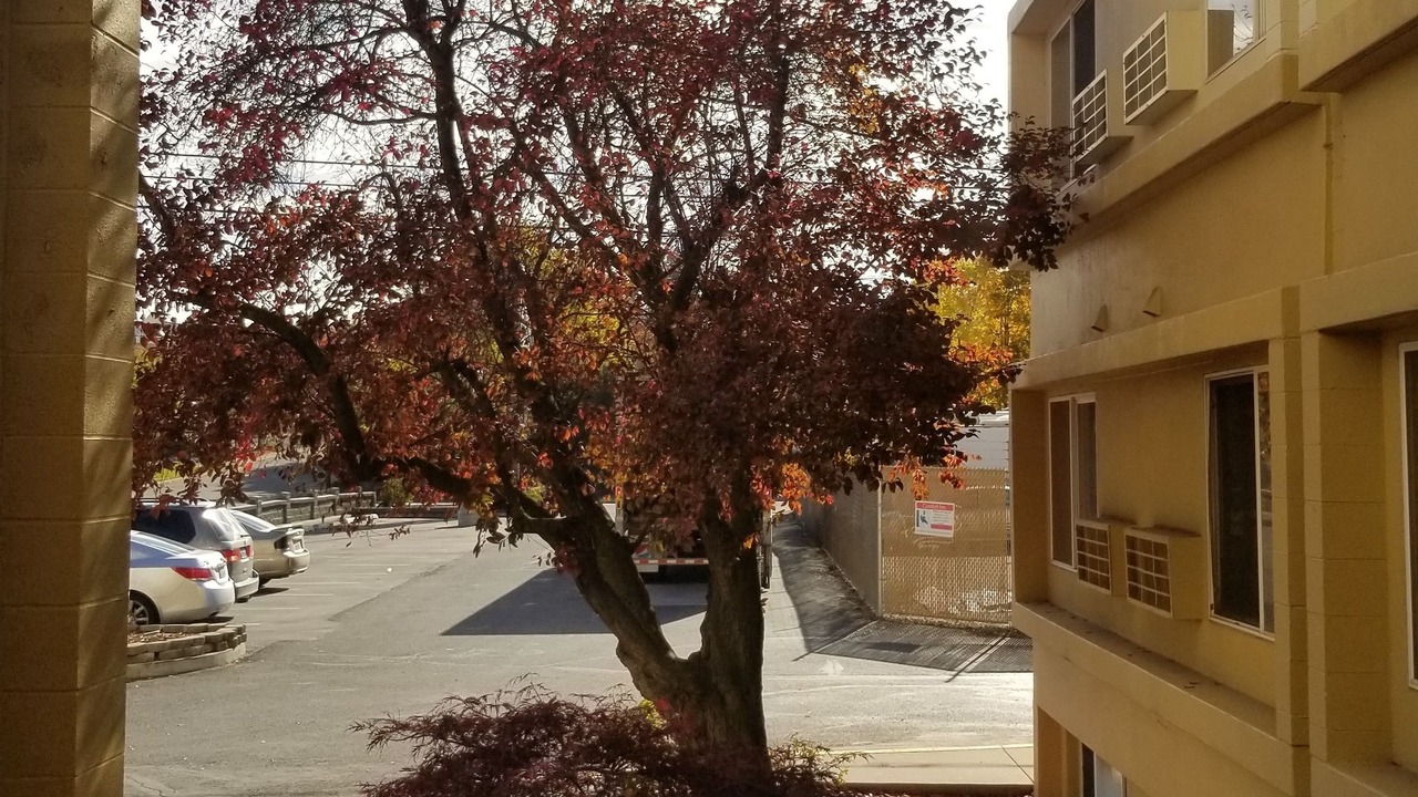 Photo of Outdoor in East Central