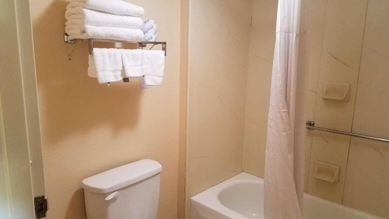 Photo of Others in Rocky Top